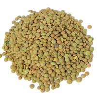 alousra_Lentils_01